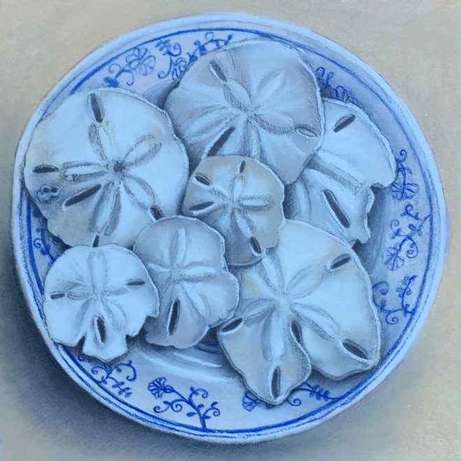 "Caladesi Sand Dollars" chalk pastel & ink on Arches paper 12x12"