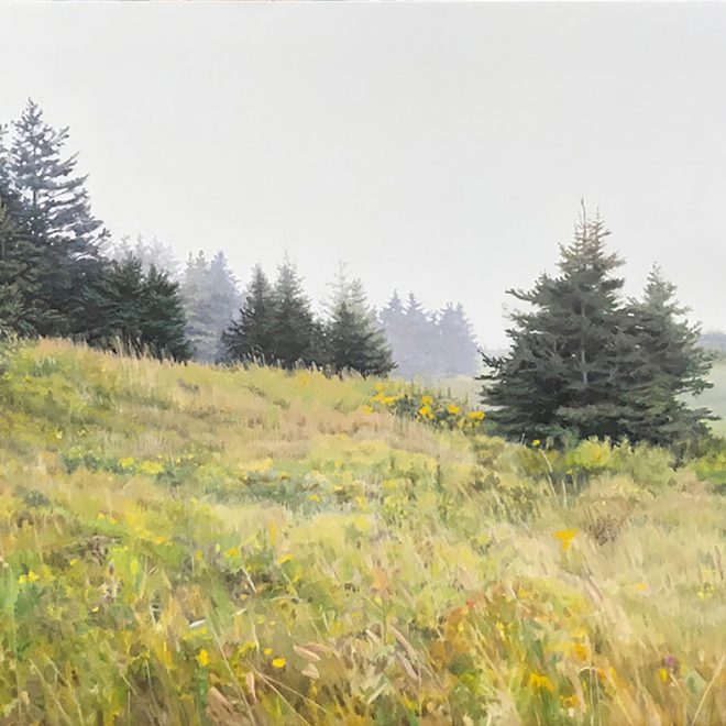 summer-meadow-with-pine