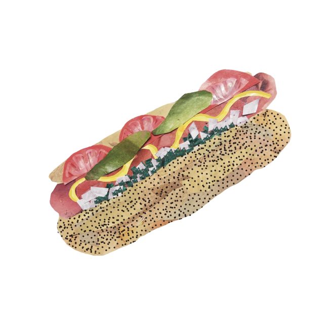 3- Hannah Levine-Drizin