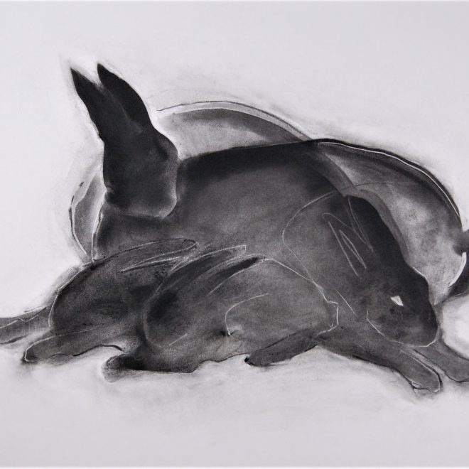 Hares03_20210711