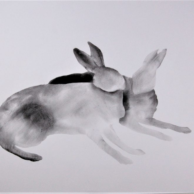 Hares04_20210711