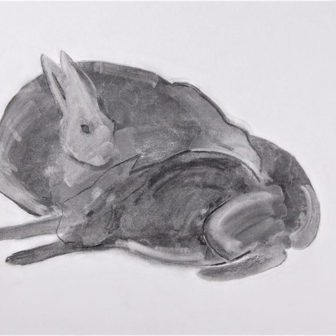 Hares05_2021071