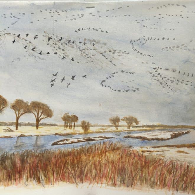 Susan Clancy Kelly-4-spring_migration