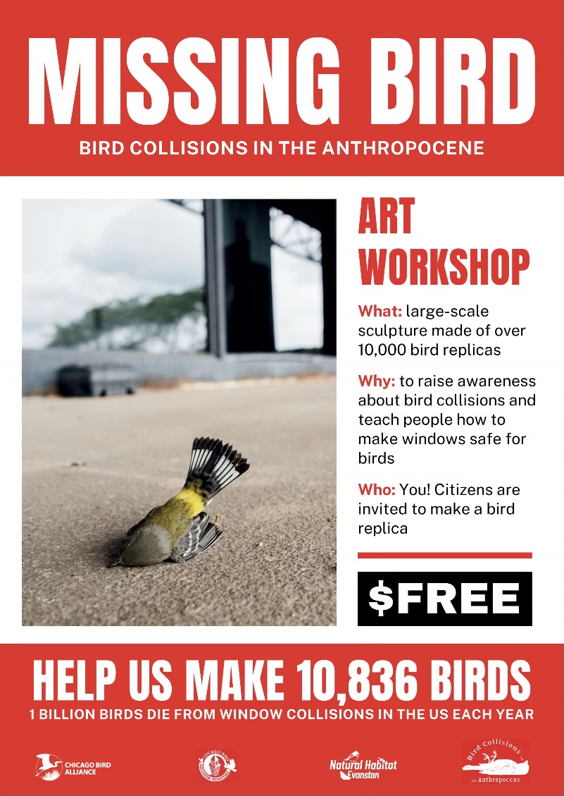 Bird Collisions in the Anthropocene