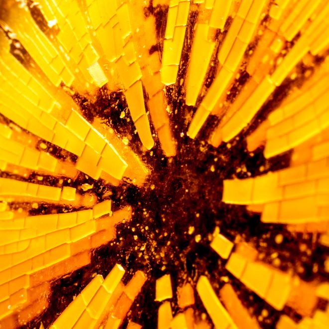 1-Glam-David Garcia-2026