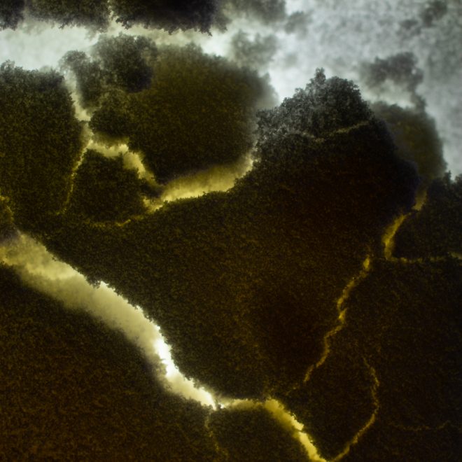 2-Dust Adjustment-David Garcia-2026