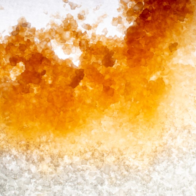 4-Settle-David Garcia-2026