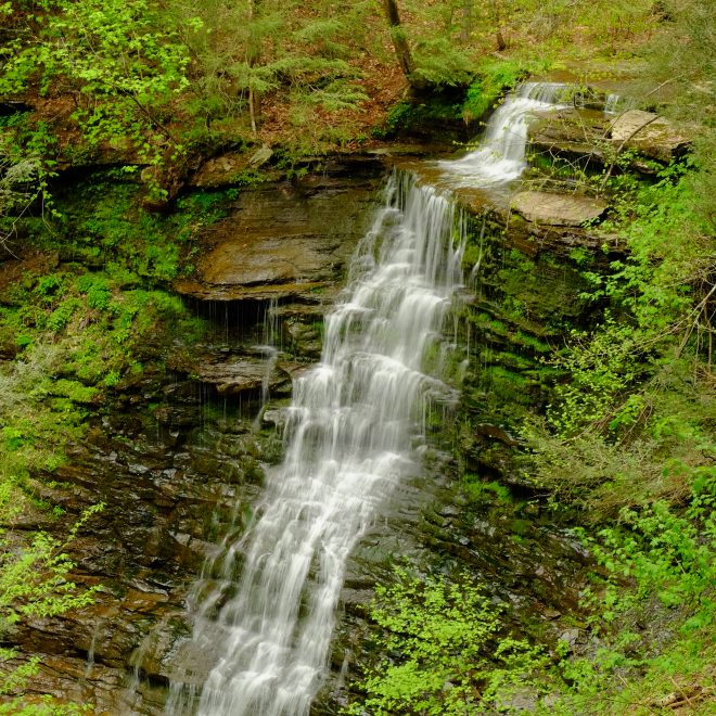 Leonard Harrison State Park, Pennsylvania