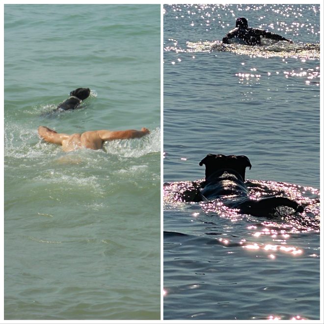 Zubin-Sherring--swim