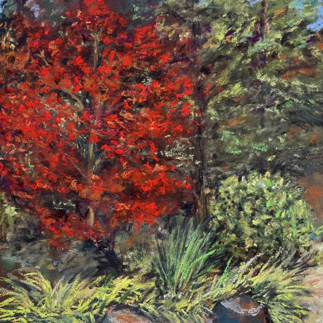 3-Shabad Kaur Khalsa-Japanese Maple - Anderson Gardens