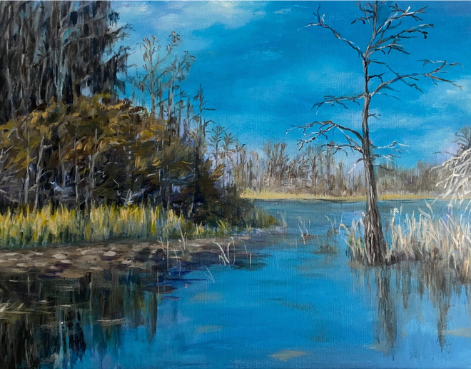 4-Jan Stein-Okeefenokee Swamp, Georgia
