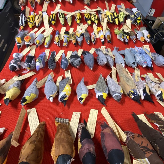 1-Holly Greenberg-Carpet of birds