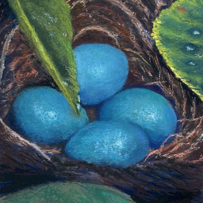 1-Robin Langer-Hope for Tomorrow