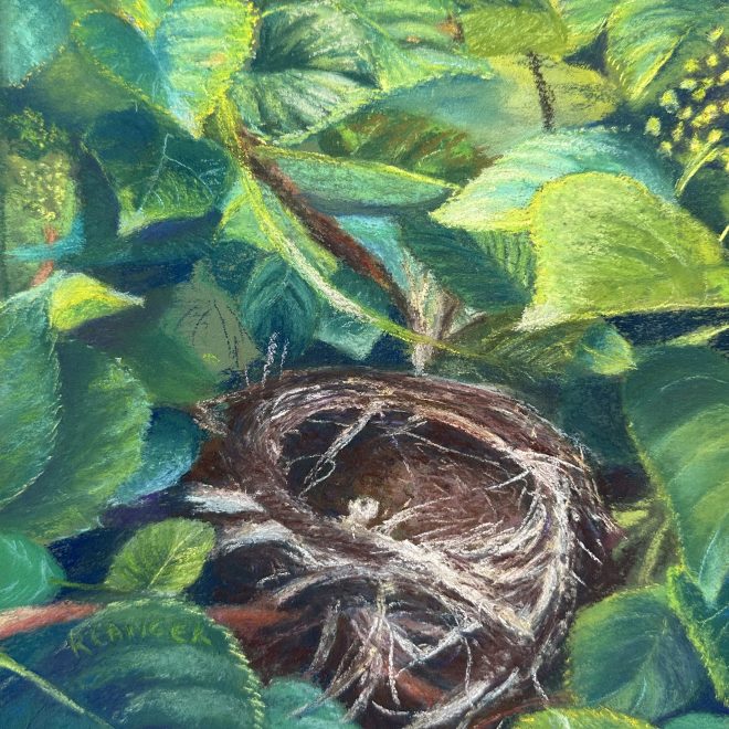 4-Robin Langer-Hidden in the bush