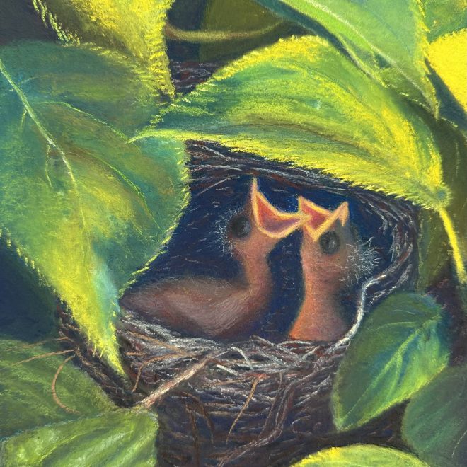 5-Robin Langer-Feed me